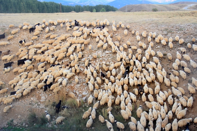 Göçerlerin yayladan köye zorlu dönüş yolculuğu