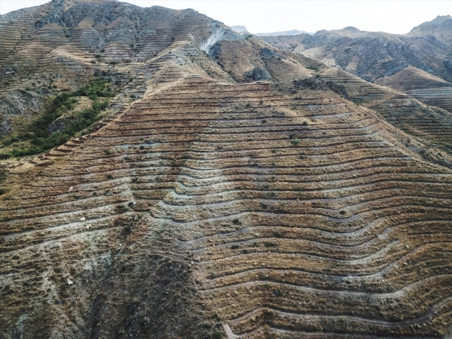 Aras Dağları'nda erozyonla mücadele hamlesi