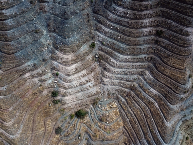 Aras Dağları'nda erozyonla mücadele hamlesi