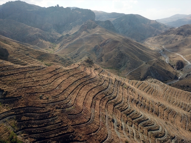 Aras Dağları'nda erozyonla mücadele hamlesi