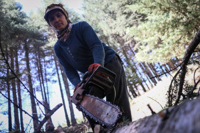 Tahtacı Ayşe Çakır zorlu mesleğini ormanda sürdürüyor