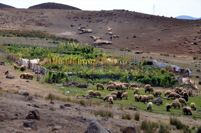 Terörden arındırılan köyde artık huzur var