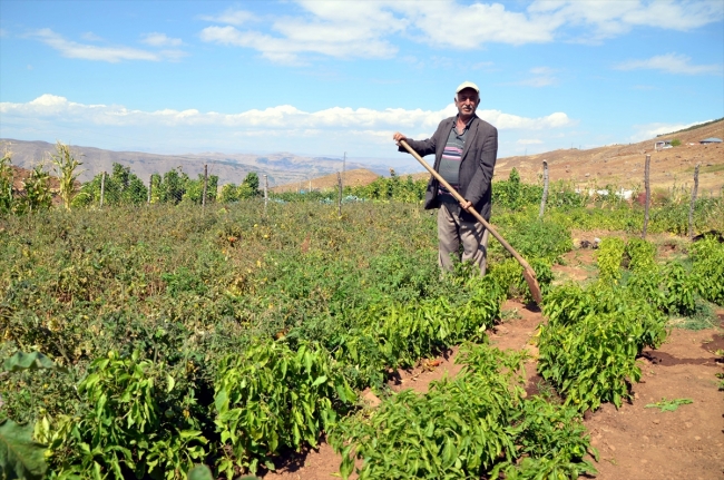 Terörden arındırılan köyde artık huzur var