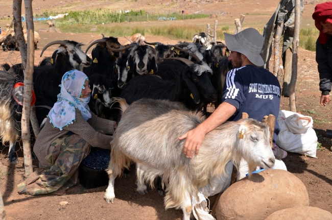 Terörden arındırılan köyde artık huzur var