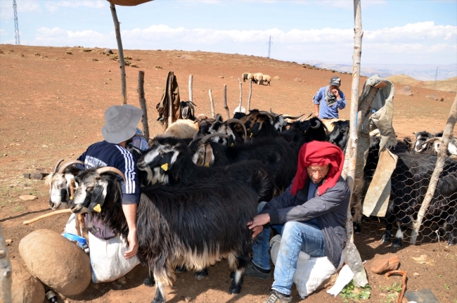 Terörden arındırılan köyde artık huzur var