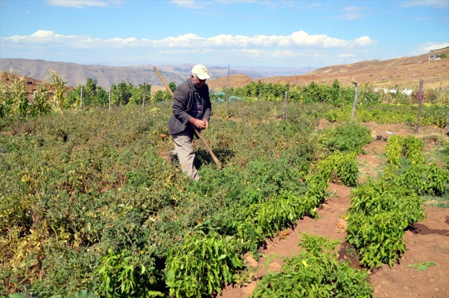 Terörden arındırılan köyde artık huzur var