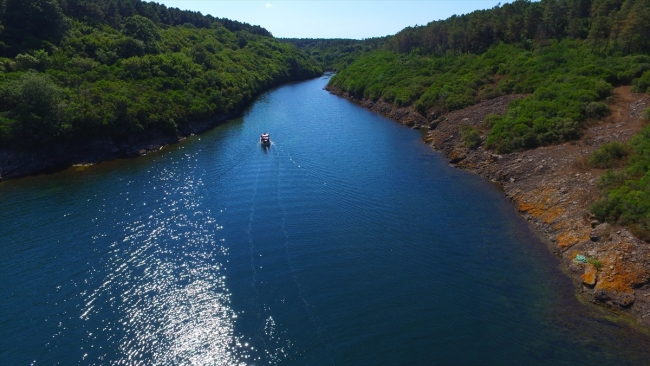 Doğada huzur bulmak isteyenler tabiat parklarını tercih ediyor