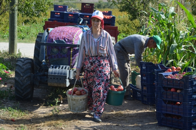 Evinde anne tarlada çiftçi iş yerinde patron