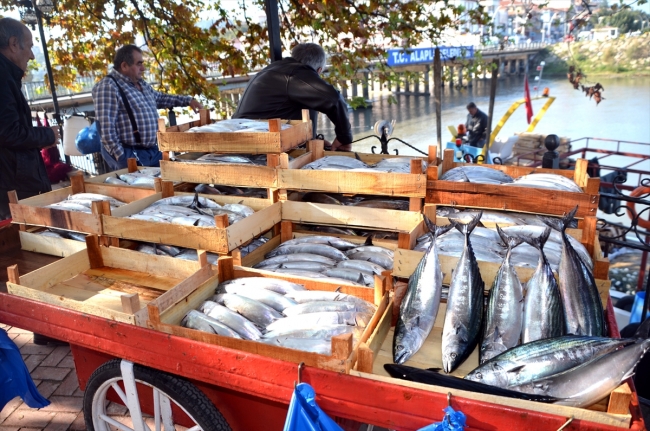 Palamut balıkçıların yüzünü güldürdü
