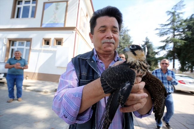 Teknisyen Ayhan dostu "Şakir"i doğal hayatına bıraktı