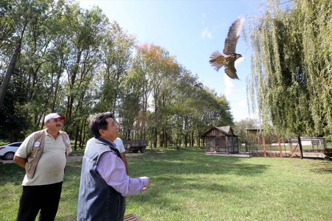 Teknisyen Ayhan dostu "Şakir"i doğal hayatına bıraktı