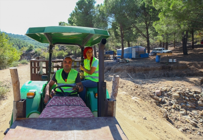 Ormanların emektar kadınları zorlu mesaide ter döküyor