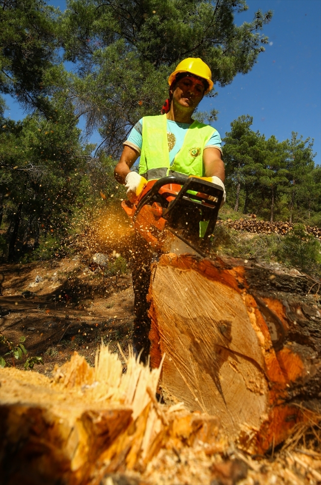 Ormanların emektar kadınları zorlu mesaide ter döküyor