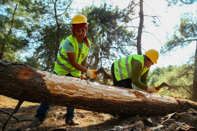 Ormanların emektar kadınları zorlu mesaide ter döküyor