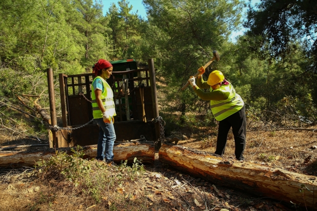 Ormanların emektar kadınları zorlu mesaide ter döküyor