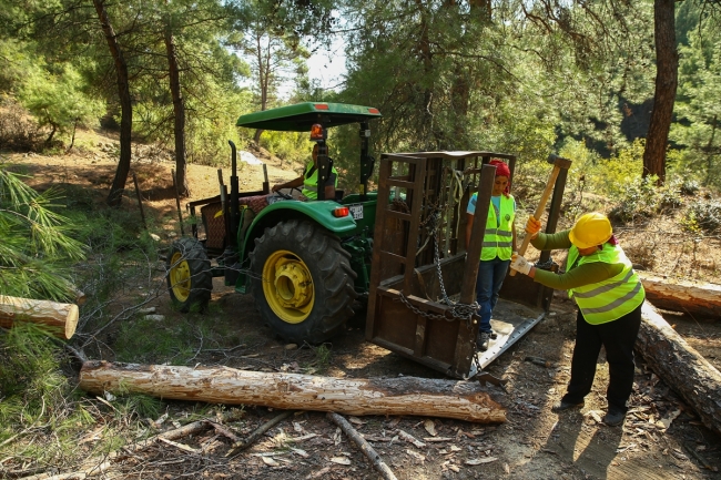 Ormanların emektar kadınları zorlu mesaide ter döküyor