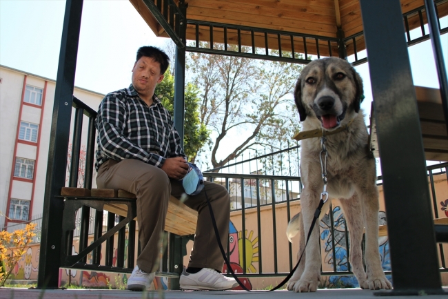 Ölüme terk edilen köpek görme engellilere rehberlik yapıyor