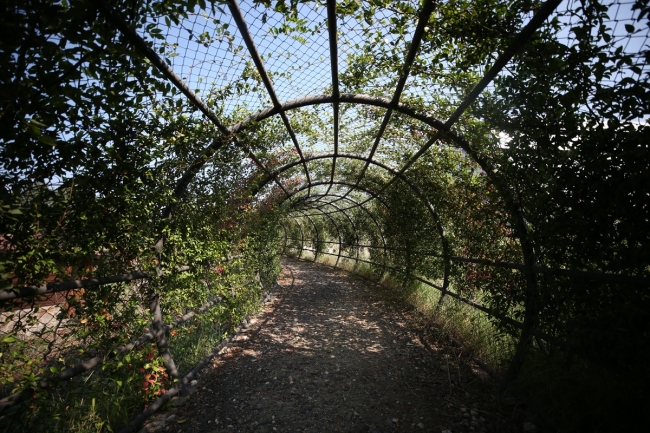 Bursa Aktopraklık Höyüğü'ndeki 3 köyle "zamanda yolculuk"