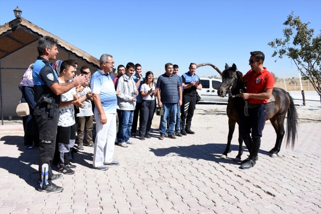 Bedensel ve zihinsel engelli çocuklara polis atlarıyla terapi