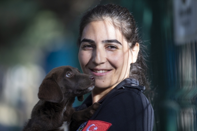 Polisin "sağ kolu" görev köpekleri
