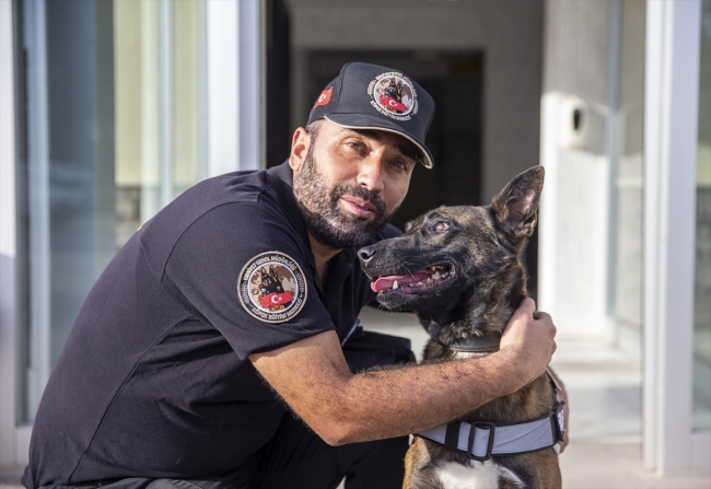 Polisin "sağ kolu" görev köpekleri