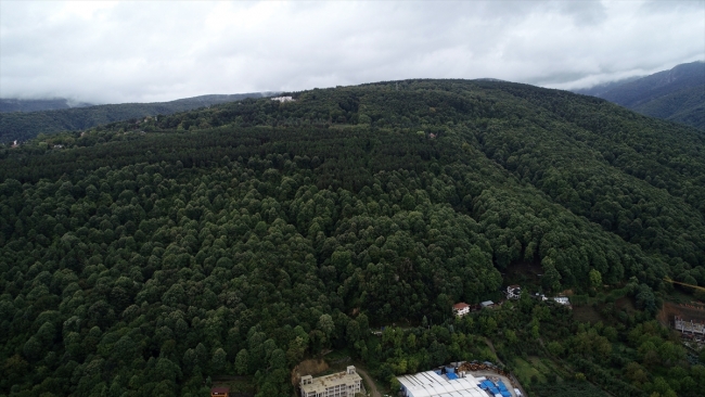 Sapanca'da hayata geçirilecek "Teleferik Projesi"  turizme katkı sağlayacak