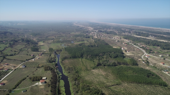 Yeşilin farklı tonlarını bir araya getiren Acarlar Longozu