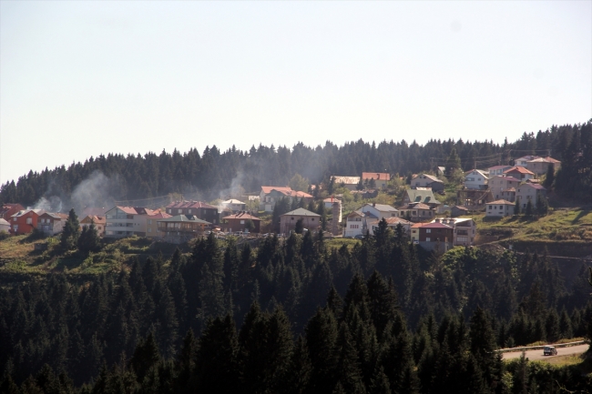 Giresun yaylalarında sonbahar