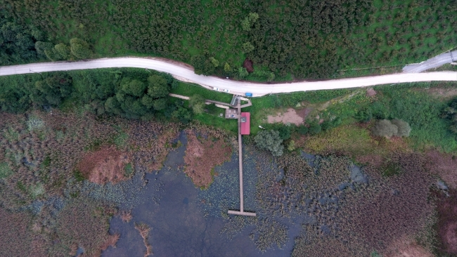 Efteni Gölü Kuş Cenneti yeni yüzüne kavuşuyor