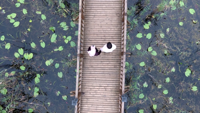 Efteni Gölü Kuş Cenneti yeni yüzüne kavuşuyor