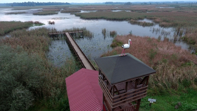 Efteni Gölü Kuş Cenneti yeni yüzüne kavuşuyor
