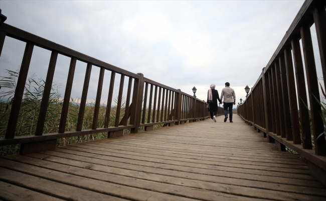 Efteni Gölü Kuş Cenneti yeni yüzüne kavuşuyor