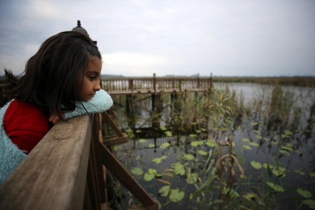 Efteni Gölü Kuş Cenneti yeni yüzüne kavuşuyor