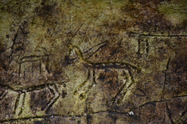 Atatürk Barajı kıyısında Paleolitik Dönem kaya resimleri bulundu