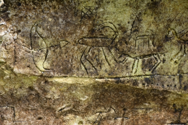 Atatürk Barajı kıyısında Paleolitik Dönem kaya resimleri bulundu