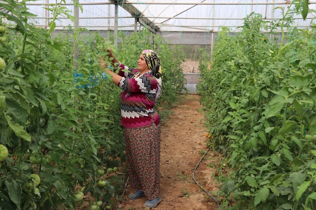 Seracı kadın hemcinslerine ilham kaynağı oluyor