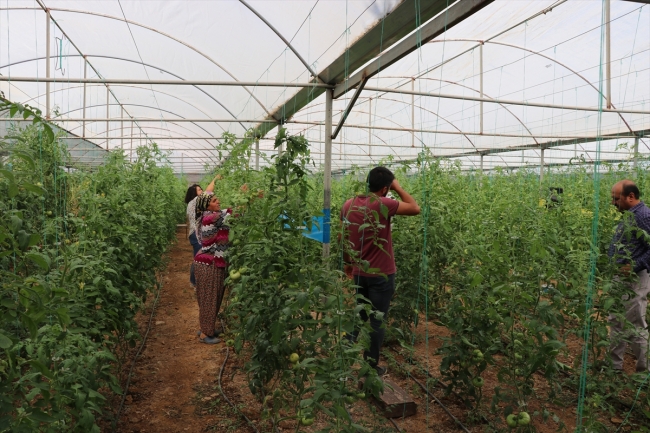 Seracı kadın hemcinslerine ilham kaynağı oluyor