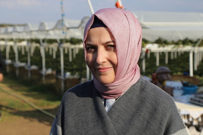 Girişimci çiftin kurduğu "Çilek Park"ta müşteri çileği dalından topluyor