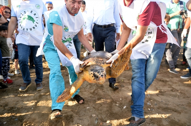 Mersin'de tedavi edilen deniz kaplumbağaları suyla buluştu