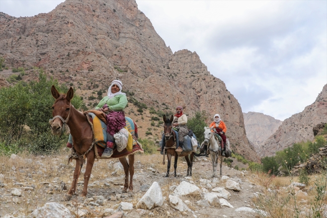 Berivanların katır sırtında yayla yolculuğu