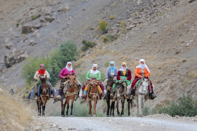 Berivanların katır sırtında yayla yolculuğu