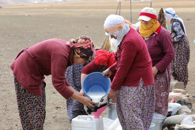Berivanların katır sırtında yayla yolculuğu
