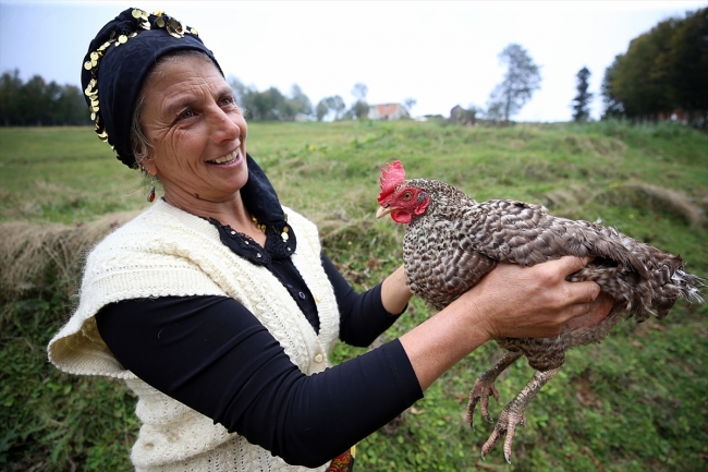 Karadenizli kadın çiftçinin zorlu mesaisi