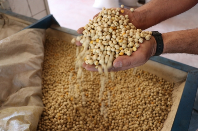 Türk leblebisi dünya pazarında