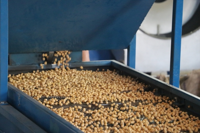 Türk leblebisi dünya pazarında