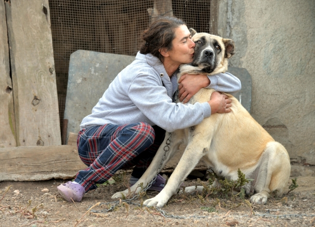 Emekli maaşının büyük bölümünü sokak köpekleri için harcıyor