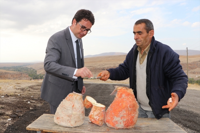 Mağaradan gelen lezzet: Divle Obruk Peyniri