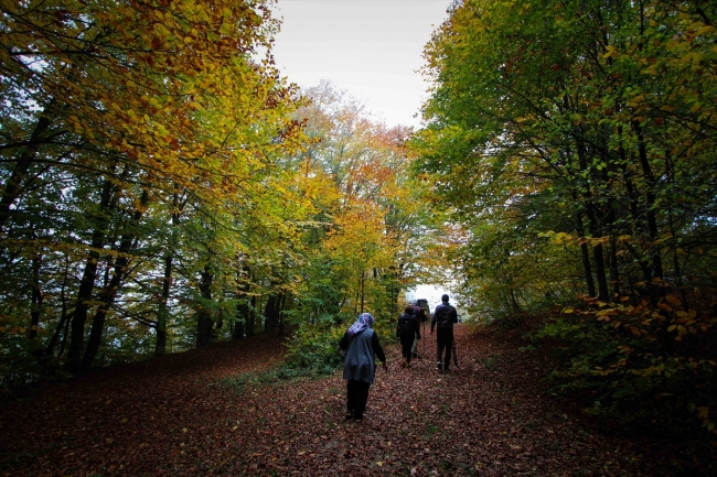 Sonbahar renklerine bürünen Domaniç Dağları