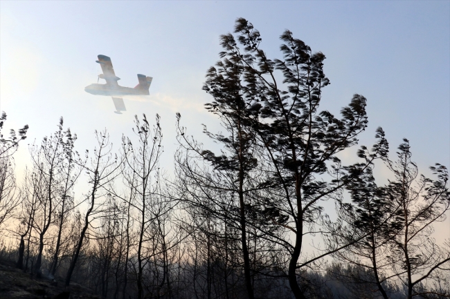 Hatay'da orman yangını