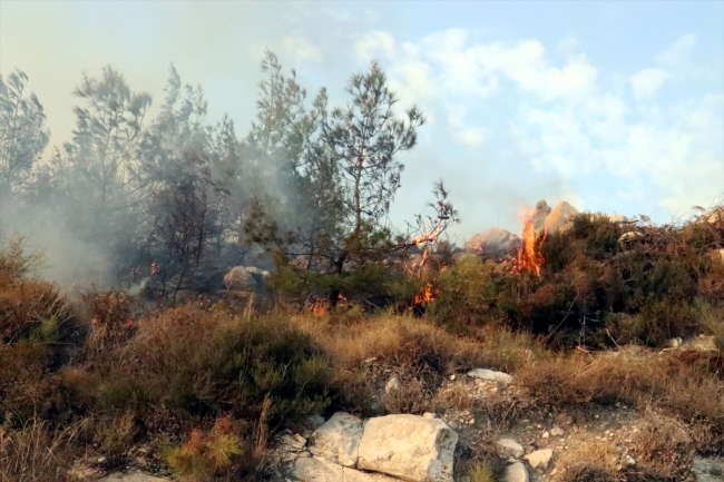 Hatay'da orman yangını